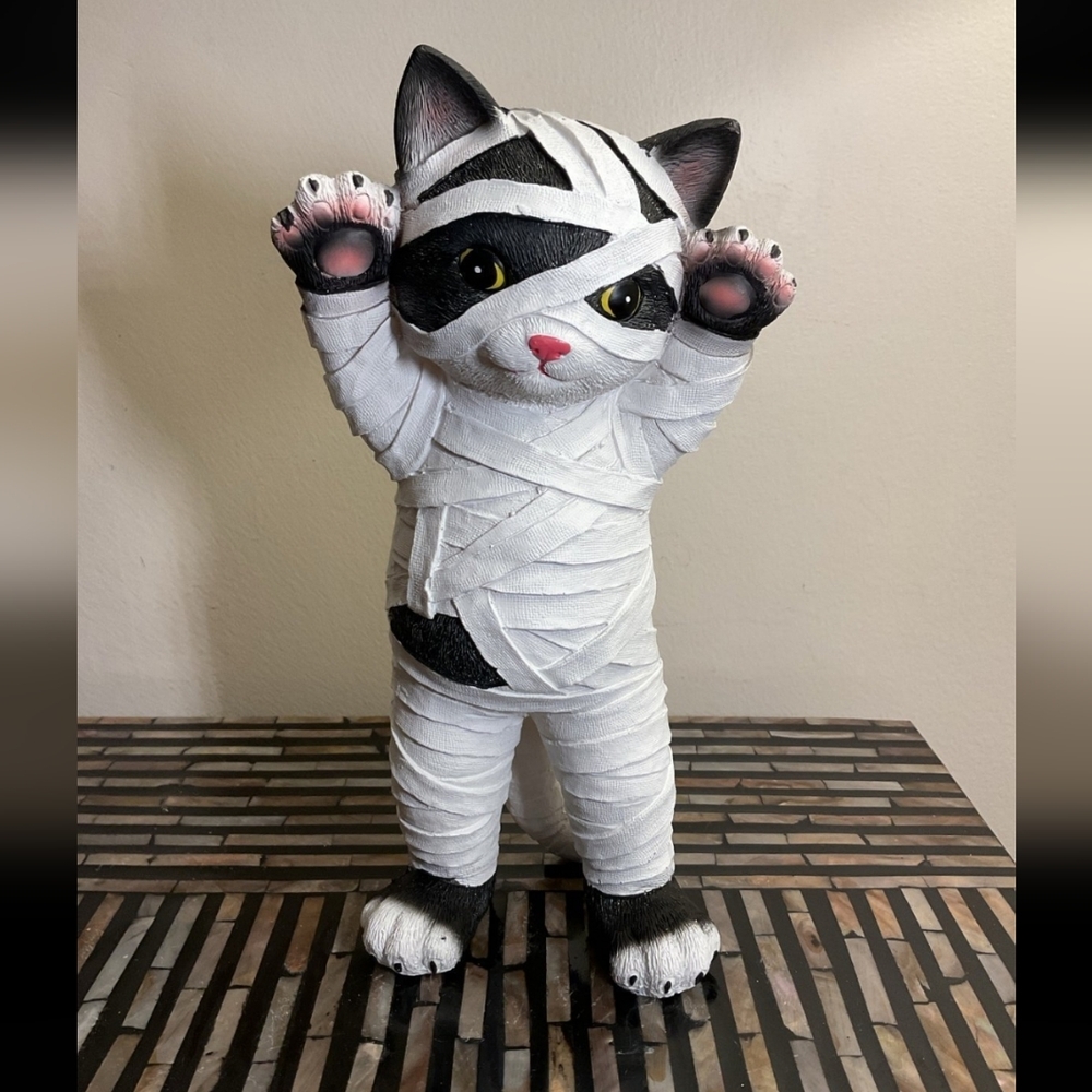 Mummy cat